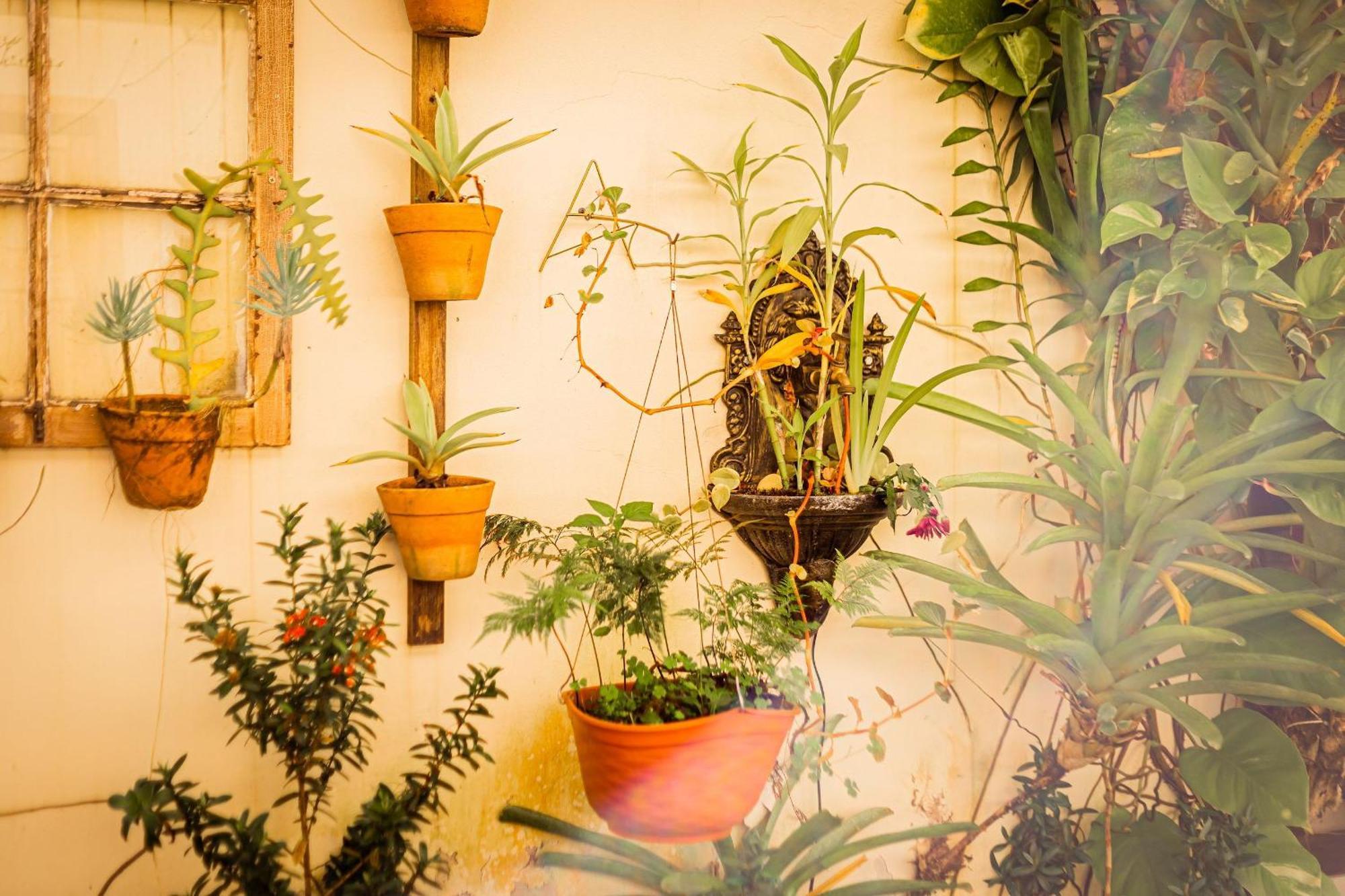 Suites Em Jabaquara, 파라티 외부 사진